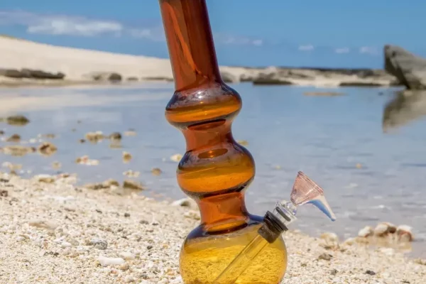 Exploring the Growing Demand for Custom Bongs Wholesale